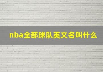 nba全部球队英文名叫什么