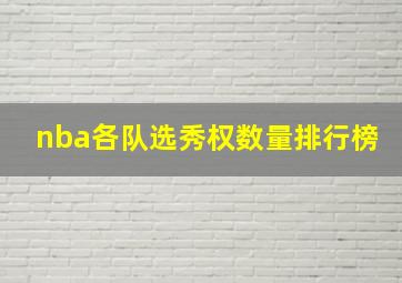 nba各队选秀权数量排行榜