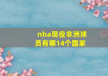 nba现役非洲球员有哪14个国家