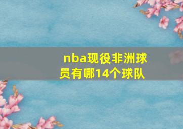 nba现役非洲球员有哪14个球队