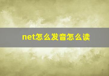 net怎么发音怎么读