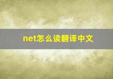 net怎么读翻译中文