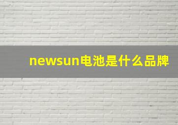 newsun电池是什么品牌