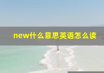 new什么意思英语怎么读