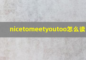 nicetomeetyoutoo怎么读中文