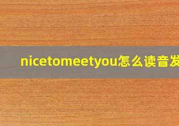 nicetomeetyou怎么读音发音