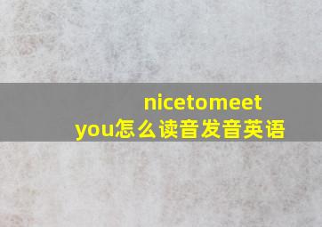 nicetomeetyou怎么读音发音英语