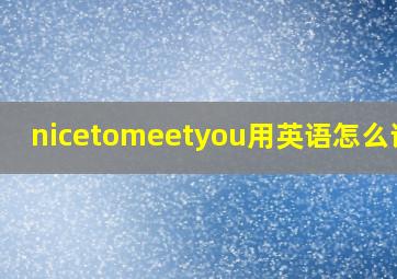 nicetomeetyou用英语怎么读音