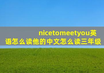 nicetomeetyou英语怎么读他的中文怎么读三年级