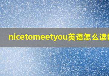 nicetomeetyou英语怎么读翻译