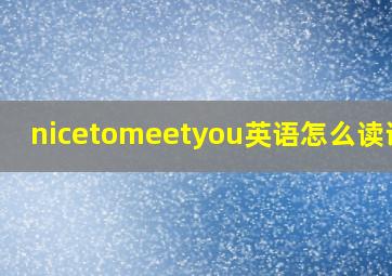 nicetomeetyou英语怎么读谐音