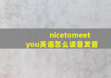 nicetomeetyou英语怎么读音发音