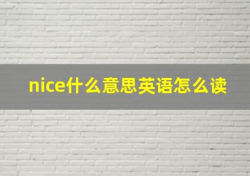 nice什么意思英语怎么读