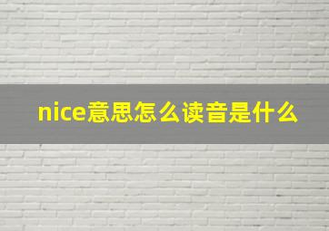 nice意思怎么读音是什么