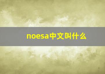 noesa中文叫什么