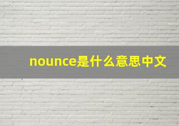 nounce是什么意思中文