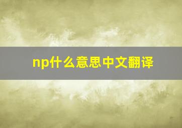 np什么意思中文翻译