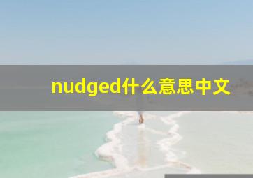 nudged什么意思中文