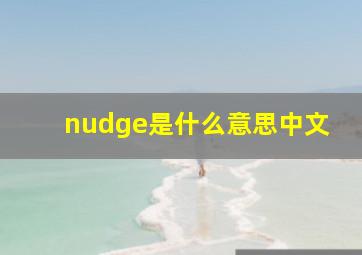 nudge是什么意思中文