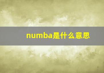 numba是什么意思