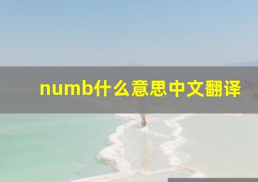 numb什么意思中文翻译