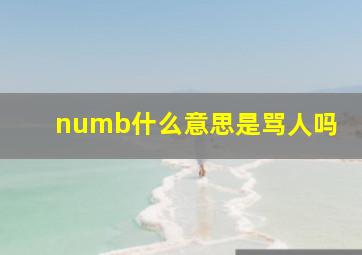 numb什么意思是骂人吗