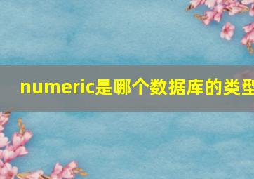 numeric是哪个数据库的类型