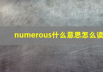 numerous什么意思怎么读