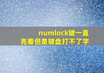 numlock键一直亮着但是键盘打不了字