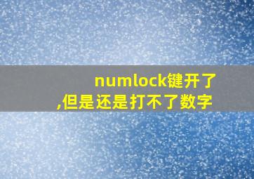 numlock键开了,但是还是打不了数字