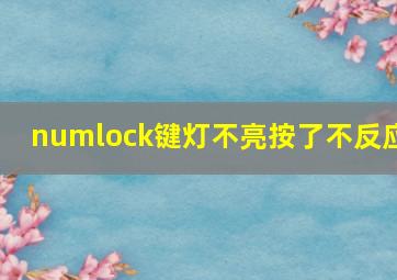 numlock键灯不亮按了不反应