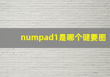 numpad1是哪个键要图