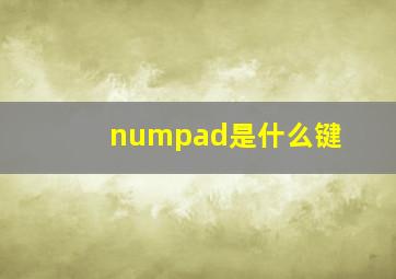 numpad是什么键