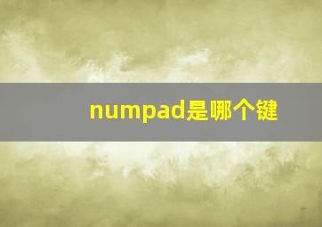 numpad是哪个键