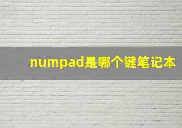 numpad是哪个键笔记本