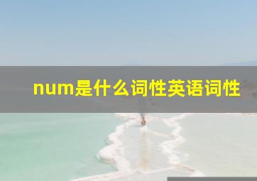 num是什么词性英语词性