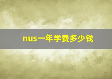 nus一年学费多少钱