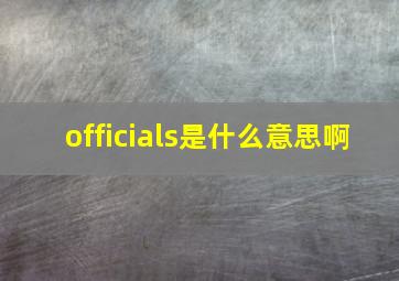 officials是什么意思啊