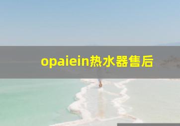 opaiein热水器售后