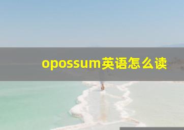 opossum英语怎么读