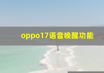 oppo17语音唤醒功能