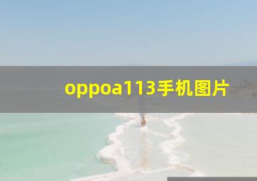 oppoa113手机图片