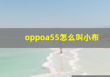 oppoa55怎么叫小布