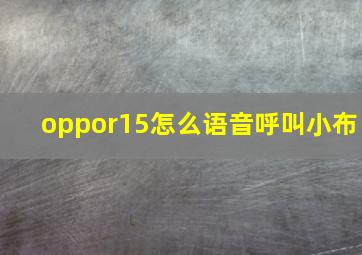 oppor15怎么语音呼叫小布