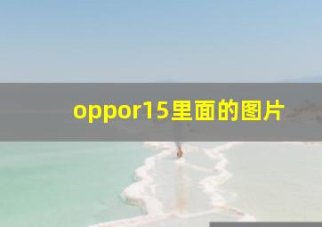 oppor15里面的图片