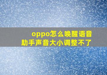 oppo怎么唤醒语音助手声音大小调整不了