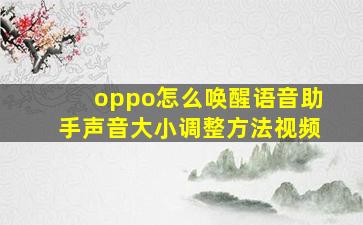 oppo怎么唤醒语音助手声音大小调整方法视频