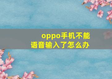 oppo手机不能语音输入了怎么办