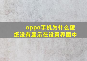 oppo手机为什么壁纸没有显示在设置界面中