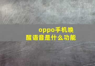 oppo手机唤醒语音是什么功能